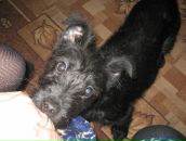 Фотография Ардашевой Елены