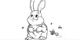 Фотография Филиппович Светланы