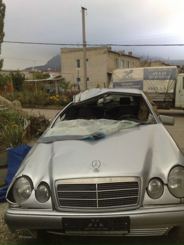 Дима Лещенко фотография #19