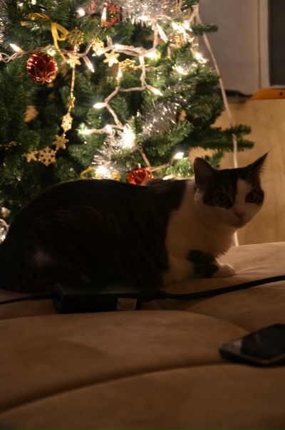 No Ra фото №20