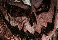 Фотография Чувикова Николая