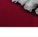 Галя Ляшкевич фотография #13 (источник - https://vk.com/id72007643)