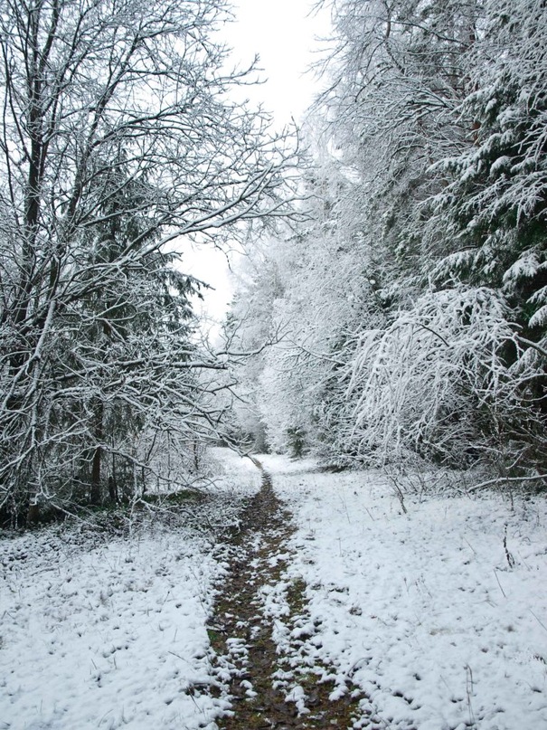 Era New фотография #43