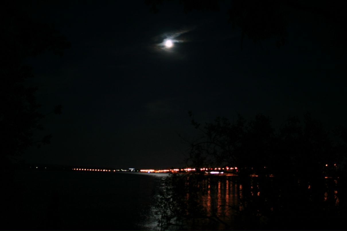 Данил Панин фотография #13