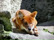 Фотография Коробейникова Константина