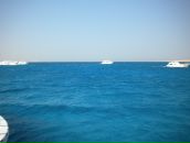 Ильнур Халикофф фотография #7 (источник - https://vk.com/id7593235)