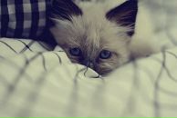 Фотография Земцовой Анны