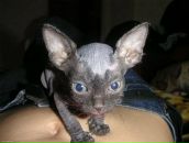 Фотография Карповец Светланы