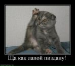 Фотография Окишеффа Сержа