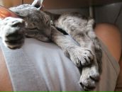 Иван Нави фотография #11 (источник - https://vk.com/id155927)