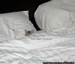 Фотография Симановой Татьяны