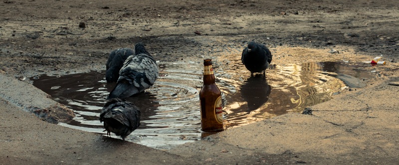 Andromeda Messier фотография #6