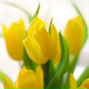 Фотография Старковой Наталии