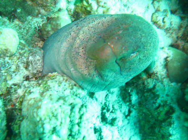 Евгений Коновалов фото №40