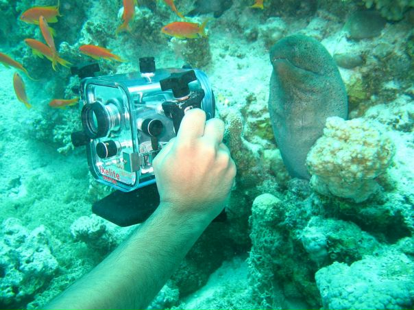 Евгений Коновалов фото №41