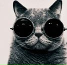 Игорь Олейник фотография #48 (источник - https://vk.com/id42228655)