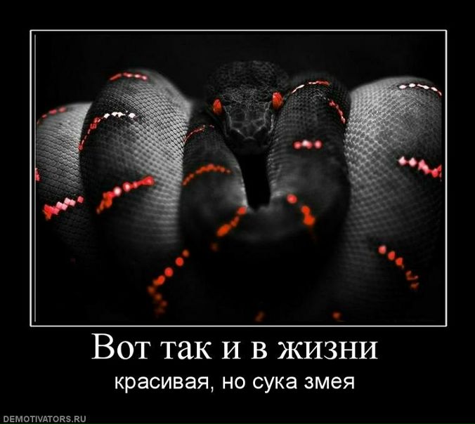 Вера Полищук фото №49