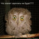 Фотография Стояновой Яны