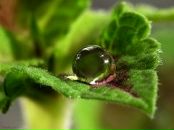 Виктор Иванов фотография #3 (источник - https://vk.com/id106923263)