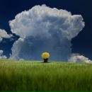 Фотография Тория Александра