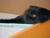 Фотография Гуримской Ирины