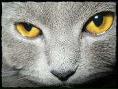 Фотография Глущенко Людмилы