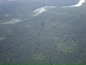 Эдуард Никитин фотография #47 (источник - https://vk.com/id2297629)