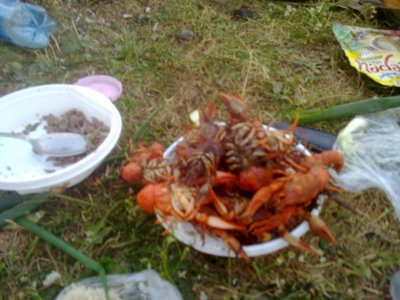 Шамиль Ахметсафин фотография #7