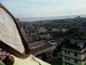 Фотография Гончарова Александра