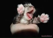 Міша Руда фотография #47 (источник - https://vk.com/id85428358)