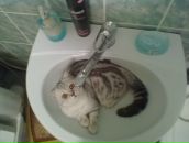 Фотография Герасимовой Татьяны