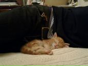 Анна Калинина фотография #31 (источник - https://vk.com/id1758737)