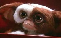 Фотография Андреевича Дмитрия