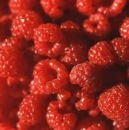 Video Browser фотография #1